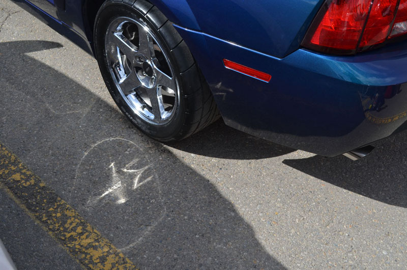 Jet Fighter Reflection SVT Cobra